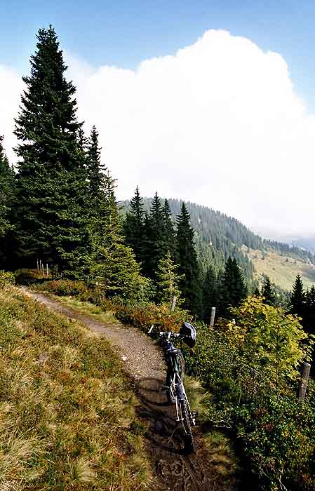 Schmaler Wanderweg